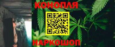 дживик Тара