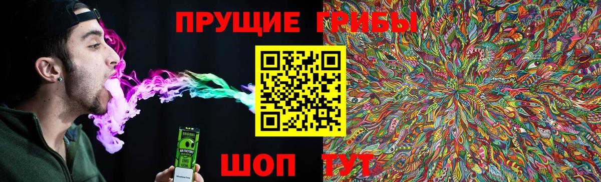 Галлюциногенные грибы Psilocybe  Вход с VPN  Псилоцибиновые грибы прущие грибы  Ногинск 